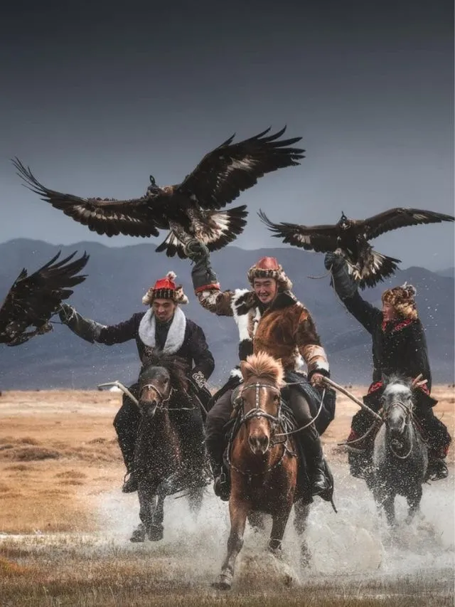 Eagle Hunters of Mongolia An Ancient Art of Partnership